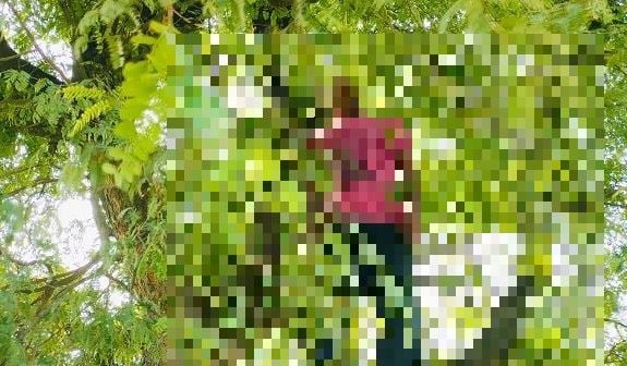 Breaking : NDRF के जवान ने फांसी लगाकर की आत्महत्या, पेड़ से लटकी मिली लाश