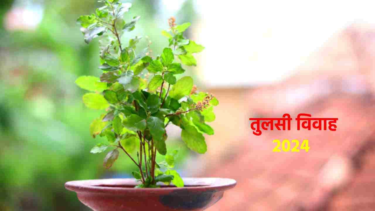 देवउठनी एकादशी आज, चार महीने की लंबी योग निद्रा से जागेंगे भगवान विष्णु, जानें इस दिन तुलसी विवाह के पीछे की रोचक कहानी