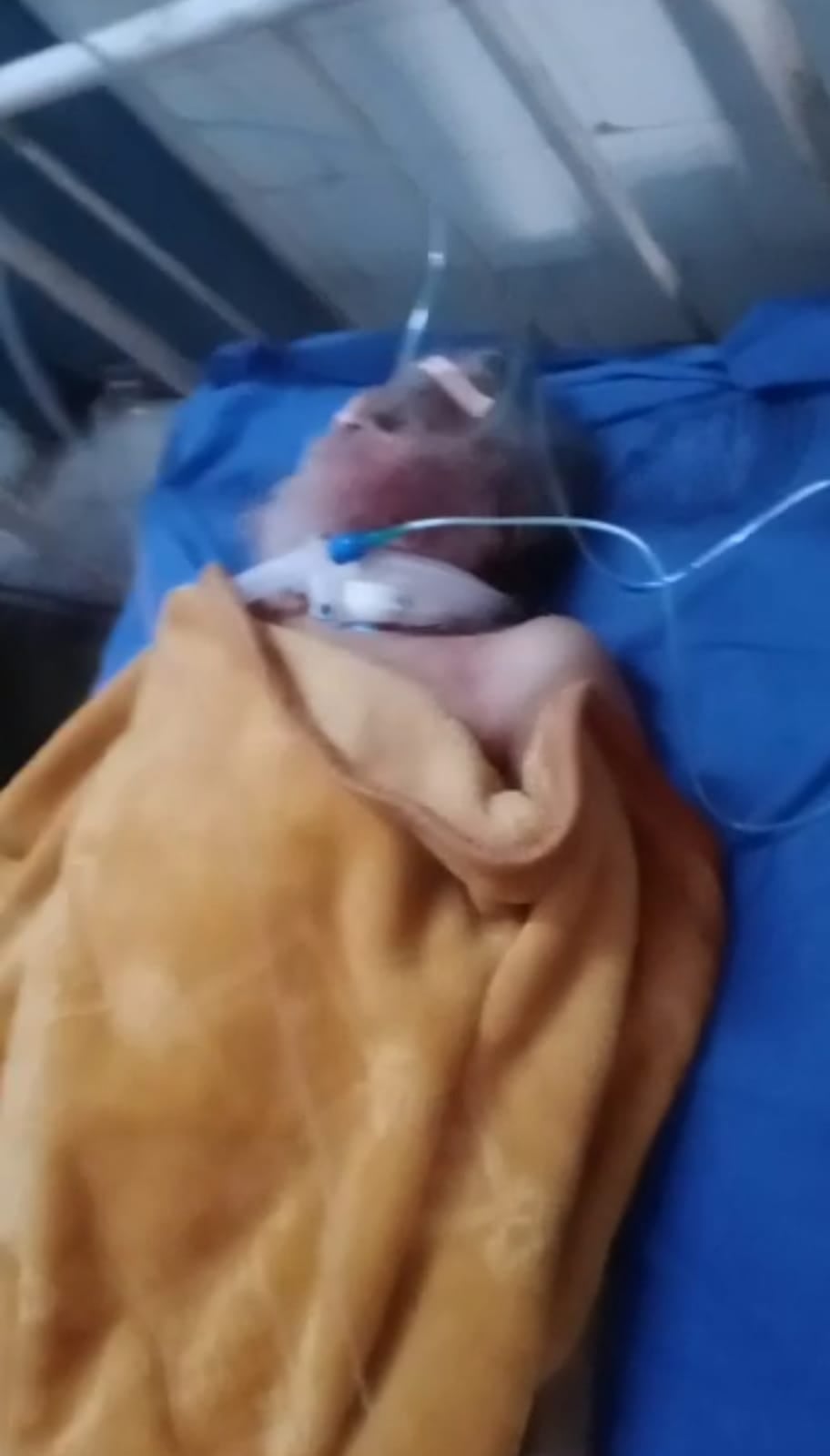 मुख्य ग्रंथि के गर्दन में घुसा कृपाण,बेहतर इलाज के लिए  PMCH  रेफर