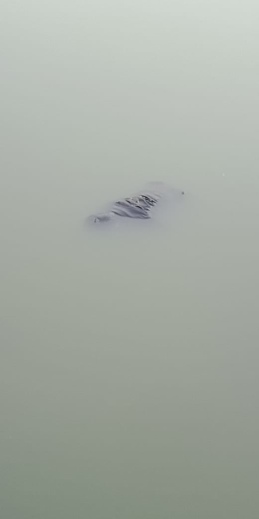 रांची के बड़ा तालाब से 9 वर्षीय बच्चे का शव बरामद.. दो दिन पहले मिला था एक महिला का शव ,जांच में जुटी पुलिस