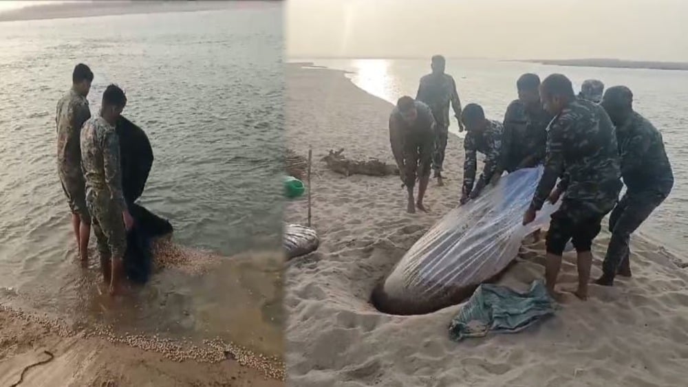 न्यू ईयर को लेकर पुलिस की बड़ी कार्रवाई, एक हजार किलो जावा महुआ व शराब किया गया नष्ट