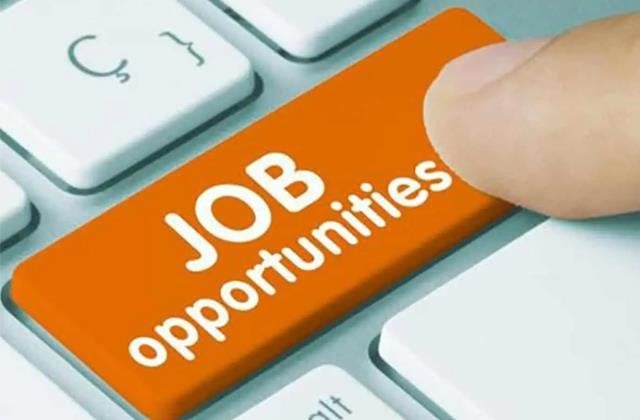 BEL Recruitment 2025: भारत इलेक्ट्रॉनिक्स लिमिटेड में 350 पदों पर निकली भर्ती, जानिए कैसे करें आवेदन