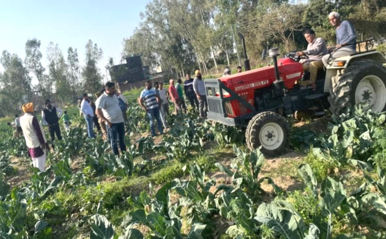 मुनाफा तो दूर लागत मूल्य भी नहीं मिलने से किसान परेशान, खेतों में छोड़ रहे हैं तैयार सब्जी