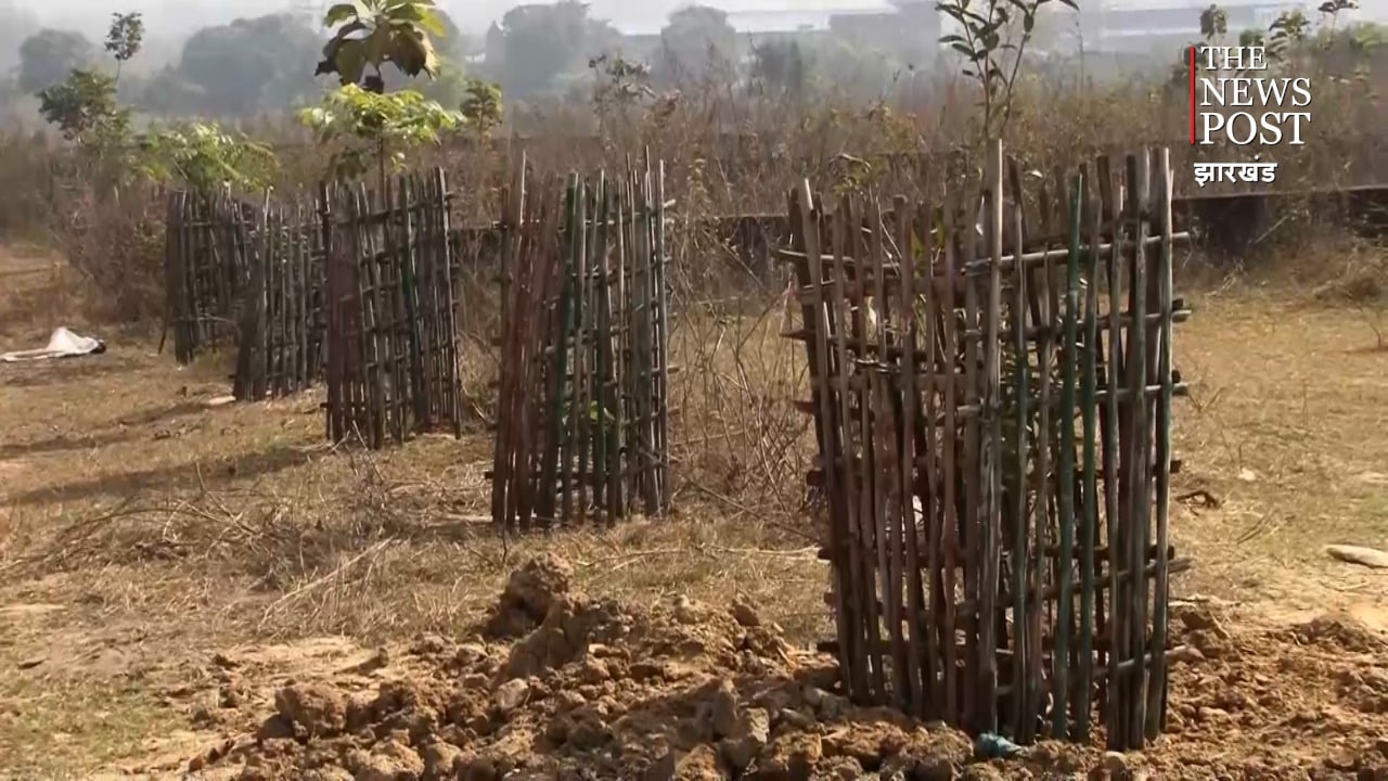 धनबाद में पेड़ लगाने का खेल, आप भी समझिए इसकी क्रोनोलॉजी