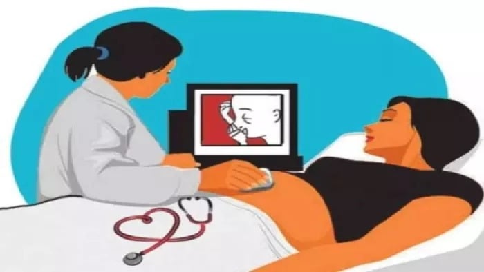 पलामू के अस्पताल और अल्ट्रासाउंड सेंटर में चल रहा था भ्रूण जांच का खेल, हरकत में आया प्रशासन, संचालकों पर गिरी गाज