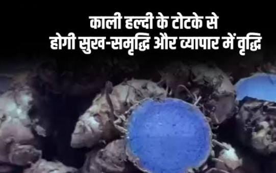 Vastu Tips: अगर आपके घर छा गई है कंगाली, तो जरुर करें काली हल्दी से जुड़ें ये उपाय, माता लक्ष्मी की बरसेगी विशेष कृपा
