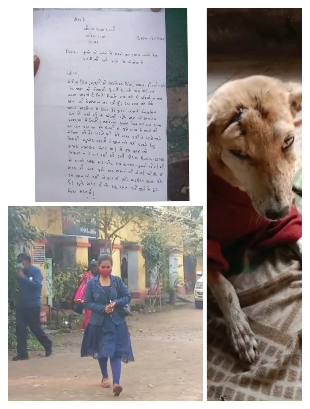 धनबाद में पालतू कुत्ते पर हुआ हमला तो मालकिन पहुंची थाना