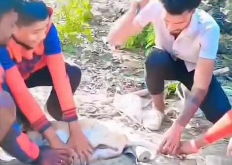 Bihar News:इंस्टाग्राम पर कुत्ते की पूछ काटने का  वीडियो डालना युवक को पड़ा महंगा, PETA NGO ने कटिहार एसपी को किया मेल तो पुलिस ने की ये कार्रवाई