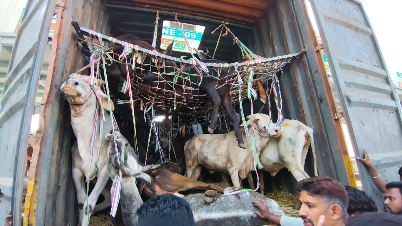 गिरिडीह में ग्रामीणों ने मवेशियों से भरा कंटेनर पकड़ा, किया पुलिस के हवाले, बंगाल भेजने की थी तैयारी