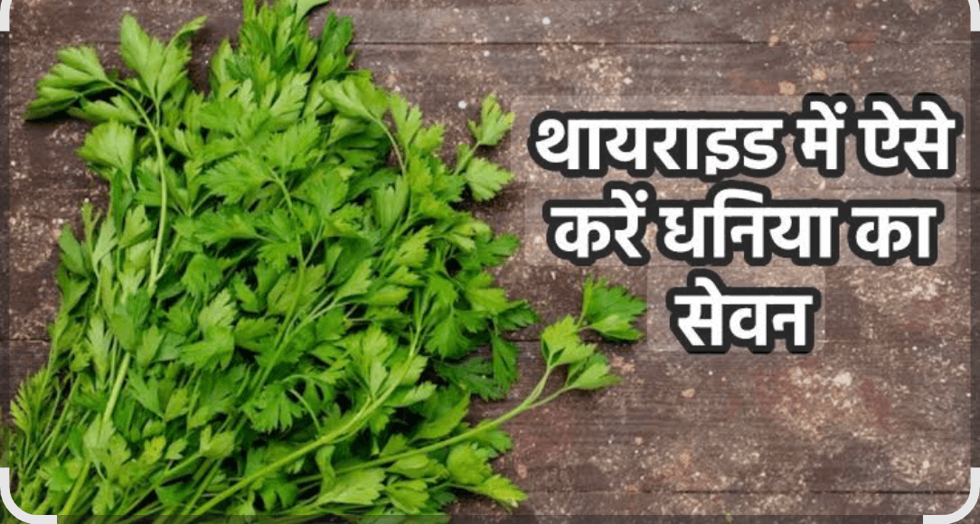 आपके किचेन में ही मौजूद है थायरॉयड का रामबाण इलाज, जानें इस मसाले से कैसे दूर होगी समस्या