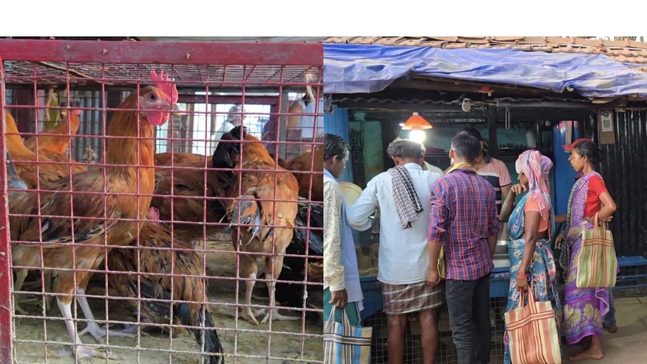 देसी मुर्गा या बंगाल का बहुरुपिया? देखिए कैसे देसी मुर्गा के नाम पर लोगों को बेबकूफ बना रहे दुकानदार, वसूल रहे ज्यादा पैसे