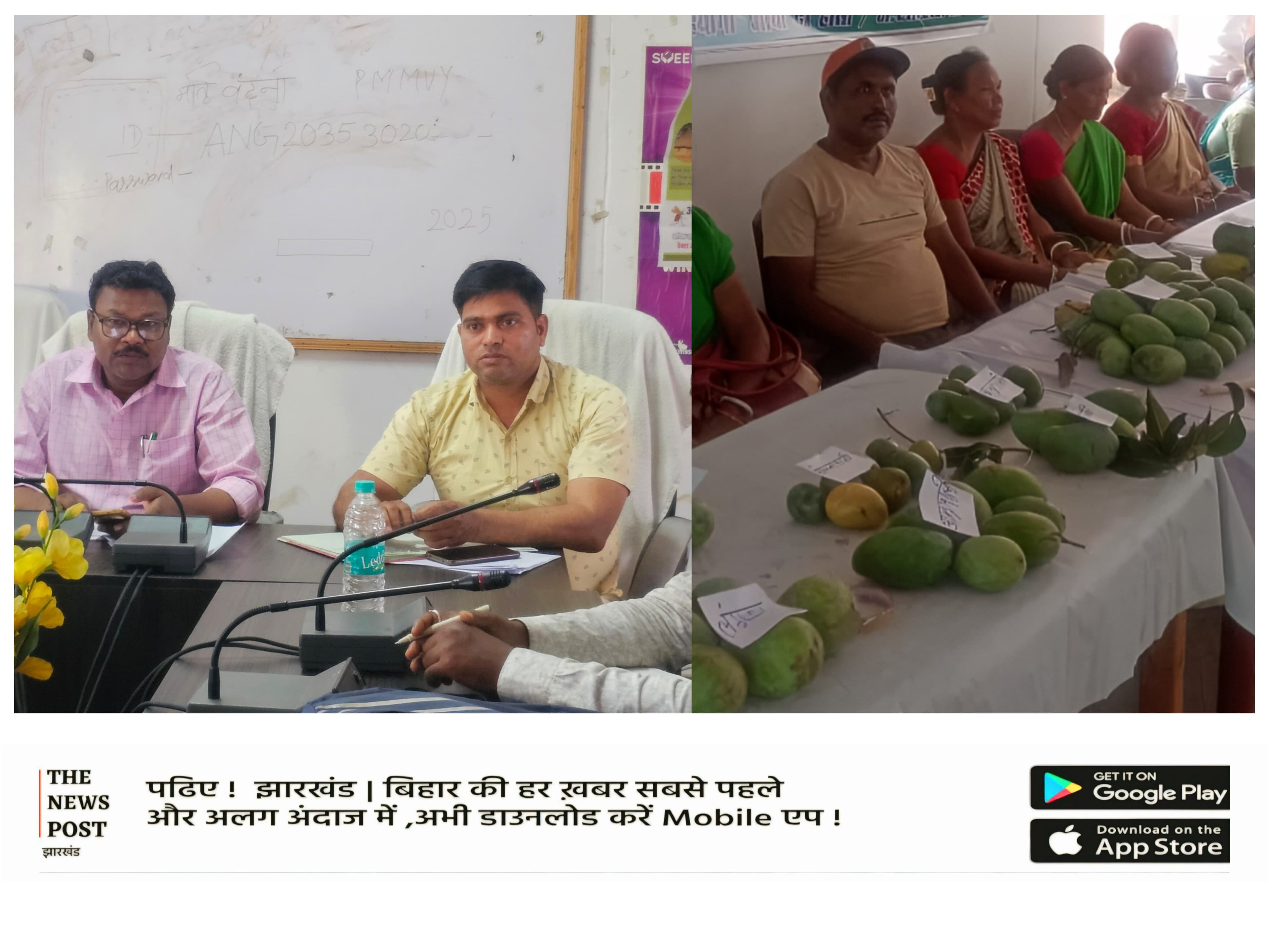 जब मेहनत महकेगी, तब पाकुड़ जिले के हिरणपुर में सजेगा 3 जून को आत्मनिर्भरता का आम महोत्सव