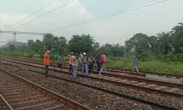 जामताड़ा में दर्दनाक हादसा, अकाल तख्त एक्सप्रेस की चपेट में आने से 8-10 भैंसों की मौत