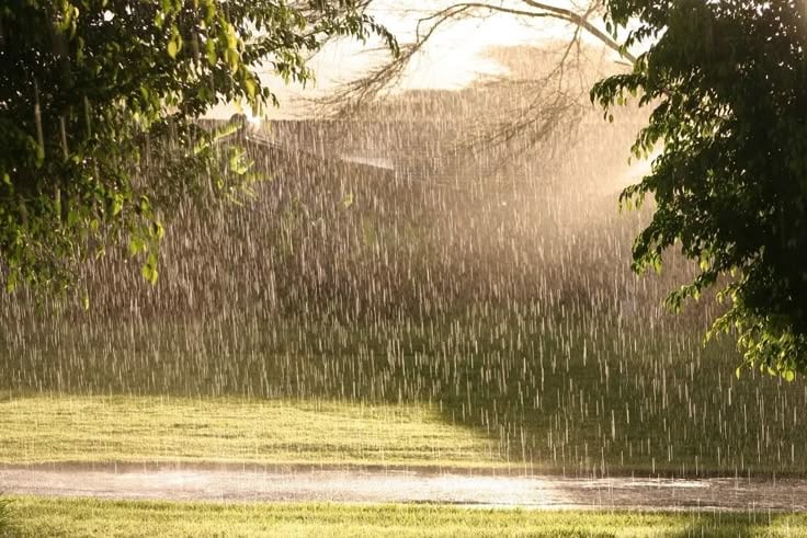 Weather Report:झारखंड के लोगों को परेशान कर सकता है मौसम,कभी धूप तो कभी बारिश की दिखेगी आंख मिचौली