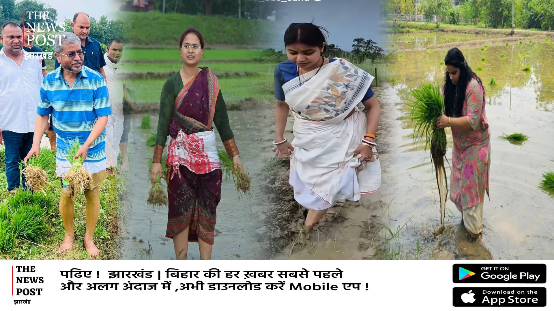 मिट्टी की खुशबू ऐसी की पूर्व सीएम से लेकर मंत्री,विधायक और IPS सभी उतरे खेत में, गीत गाते हुए करने लगे रोपा,देखिए दिल छू लेने वाला Video