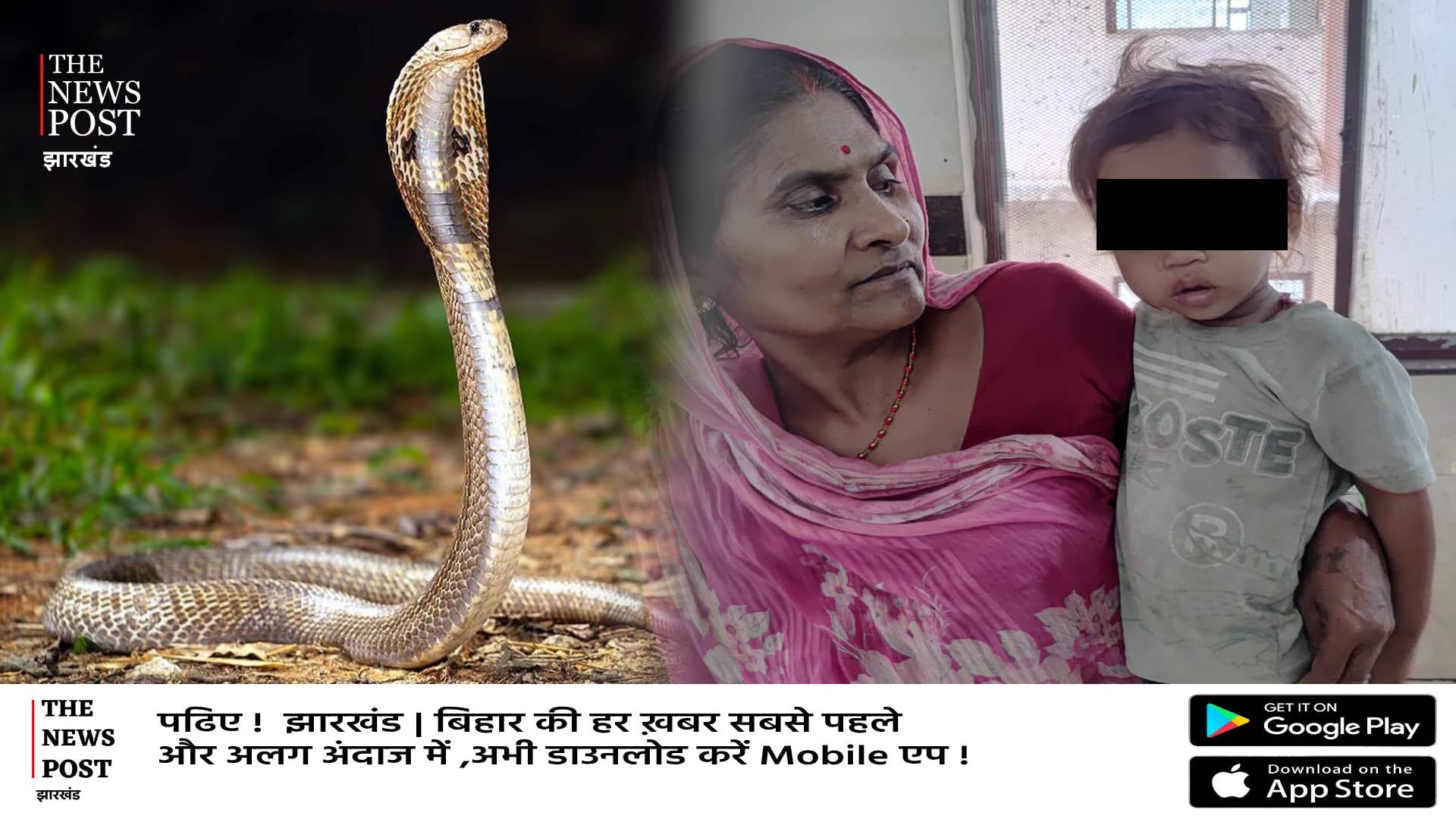 एक साल के बच्चे ने खेल-खेल में कोबरा सांप को काटा, मौके पर सांप की मौत, बच्चा खतरे से बाहर, जानिए पूरी खबर