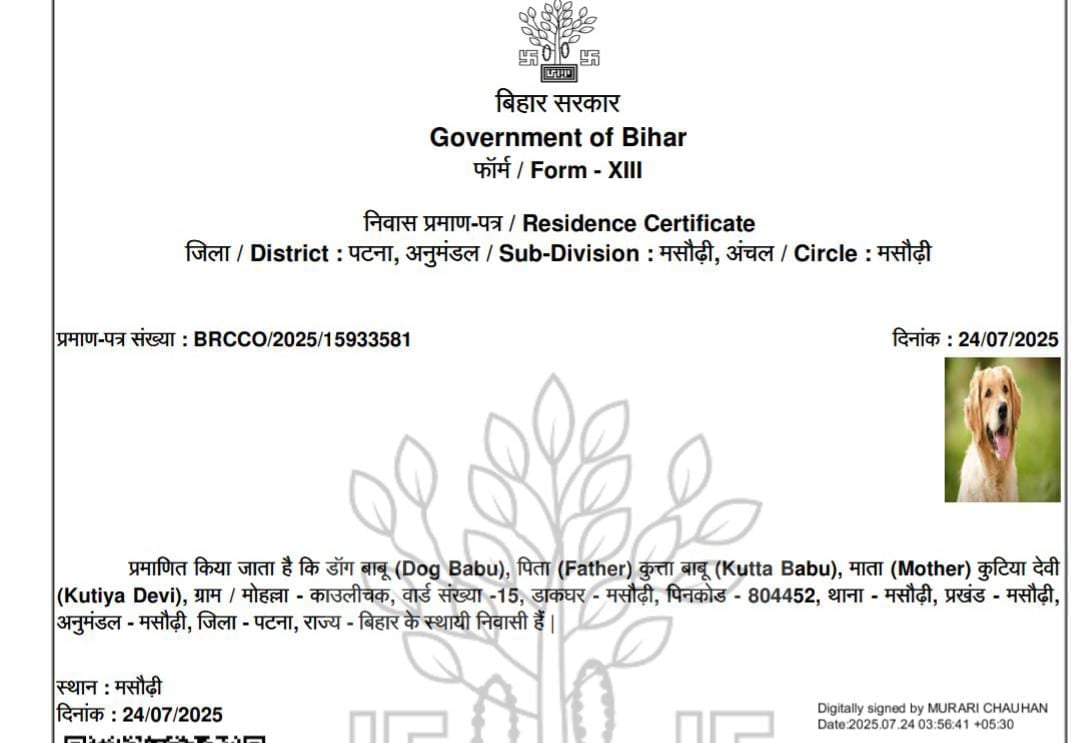 बिहार में मतदाता सूची पर बवाल के बीच कुत्ते का बन गया आवासीय प्रमाण पत्र, डॉग बाबू का खानदान जान बेहोश हो जायेंगे आप!