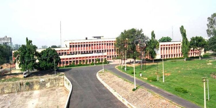 Dhanbad: आवारा सांड़ आज फिर बन गया एक परिवार के लिए काल, भूली का एक परिवार हुआ हादसे का शिकार !