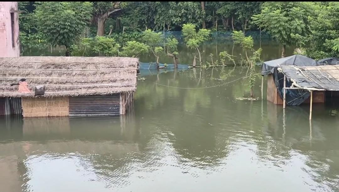 साहिबगंज जिले में बाढ़ और बारिश का कहर, कई परिवार हुए बेघर, स्कूल भी बंद, ग्रामीणों ने जिला प्रशासन से की ये मांग