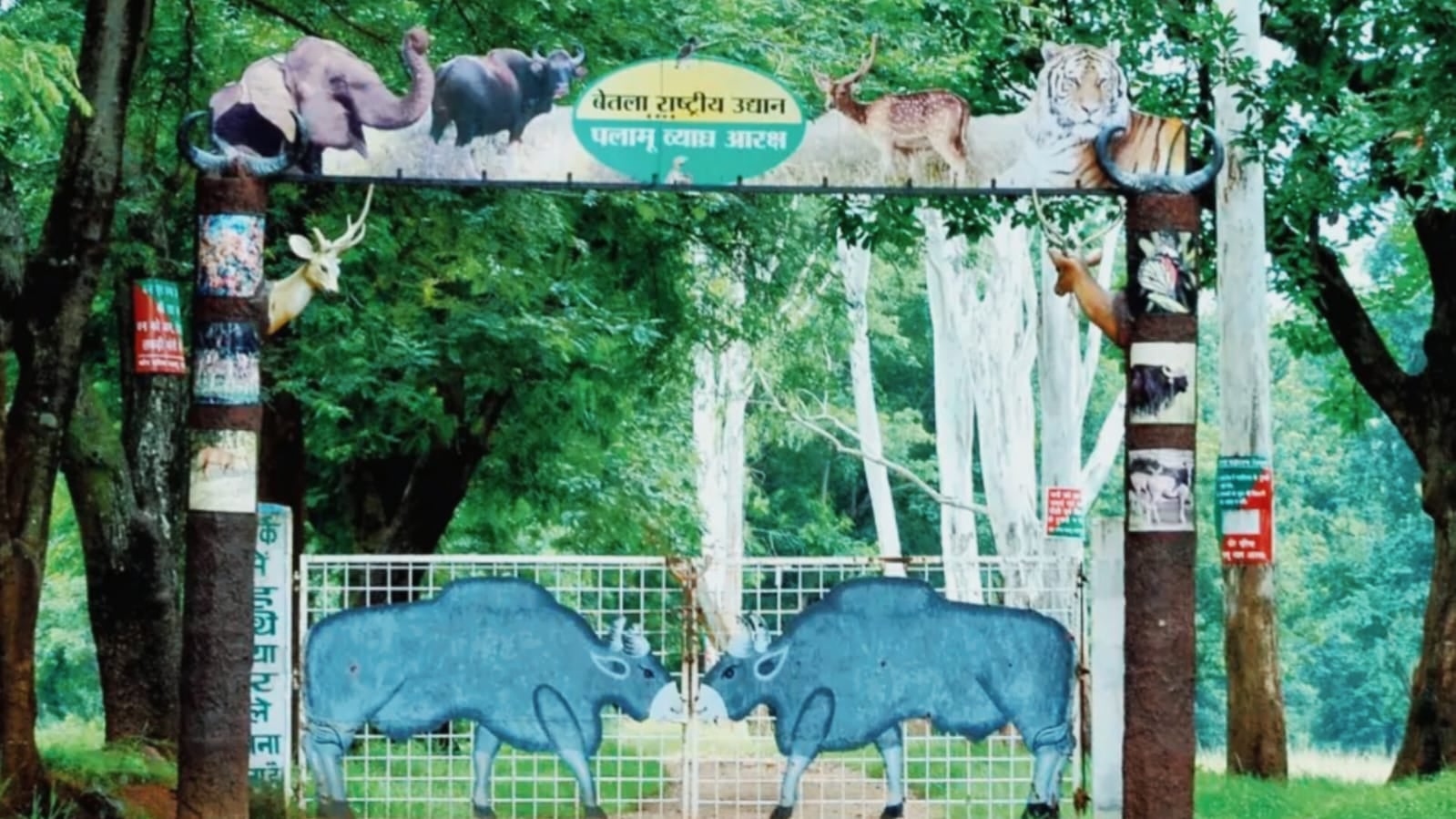 खुशखबरी! 27 सितंबर से खुल जाएगा बेतला नेशनल पार्क, ओपन सफारी का ले सकेंगे भरपूर आनंद