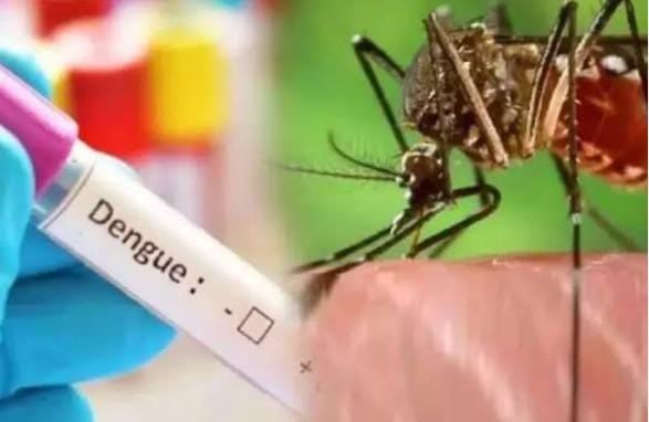 डेंगू पर नकेल कसने में सफल हो रहा है स्वास्थ्य विभाग, मरीजों में 42 प्रतिशत तक की आई गिरावट