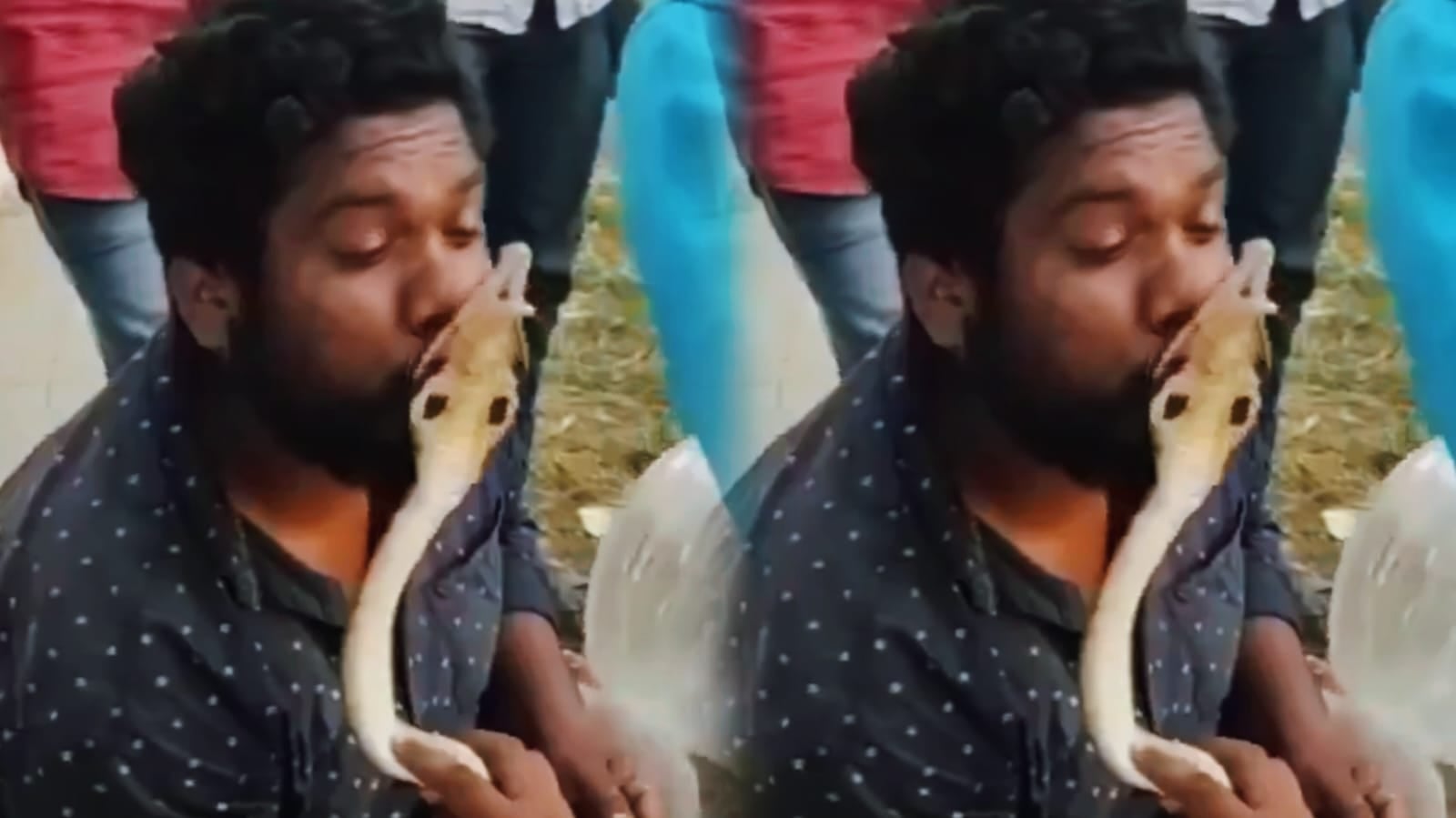 खेल-खेल में शख्स ने कोबरा की ले ली ‘पप्पी’ फिर सांप ने जो किया आप सोच भी नहीं सकते, देखिए वीडियो