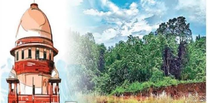सारंडा के 31 हजार हेक्टेयर क्षेत्र को सेंक्चुअरी घोषित करने की मिली मंजूरी, नक्सलियों का सबसे बड़ा गढ़ बनेगा पशु-पक्षियों का ठिकाना