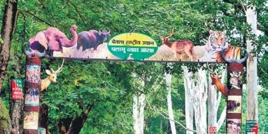 एक नजर में पढिए पलामू की दिन भर की खबरें....