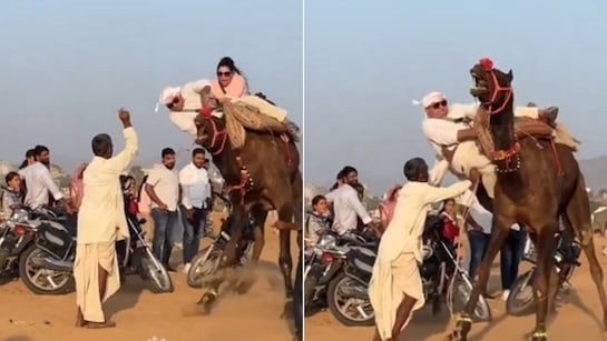 ऊंट की सवारी करने चला था कपल, फिर हुआ कुछ ऐसा की सहम गए लोग, देखिए Video