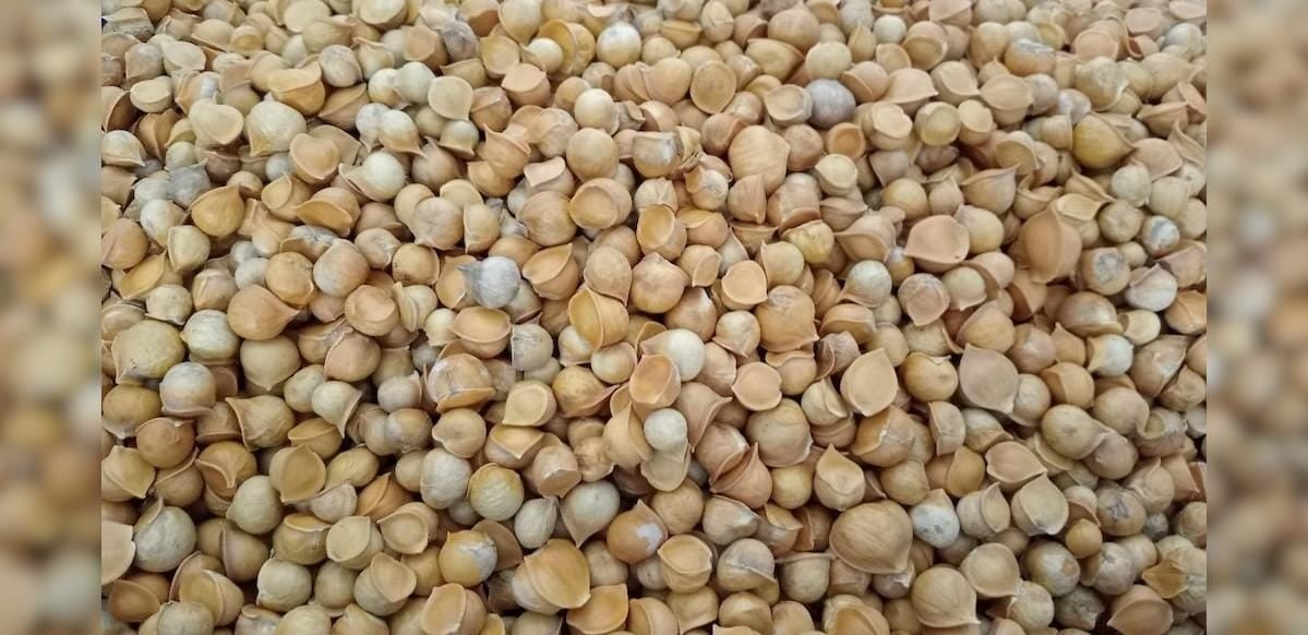 Cholesterol कम करने में काफी मददगार है कश्मीरी लहसुन! न्यूट्रिशनिस्ट ने बताया इसे खाने का सही तरीका