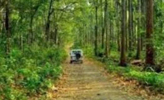 झारखंड के सारंडा जंगल पर क्यों मचा है बवाल ! सुप्रीम कोर्ट का निर्देश सरकार इसे बनाए पशु - पक्षियों का अभ्यारण