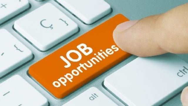 BTSC Bharti 2025: बिहार में इस विभाग में 3407 पदों पर निकली वैकेंसी, योग्यता सहित जानें पूरी डिटेल्स