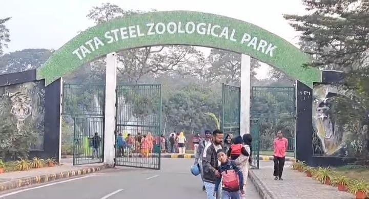 ठंड से पस्त हुई टाटा ज़ू के जानवरों की हालत, प्रबंधन ने की रूम हीटर के साथ गर्म पानी की व्यवस्था