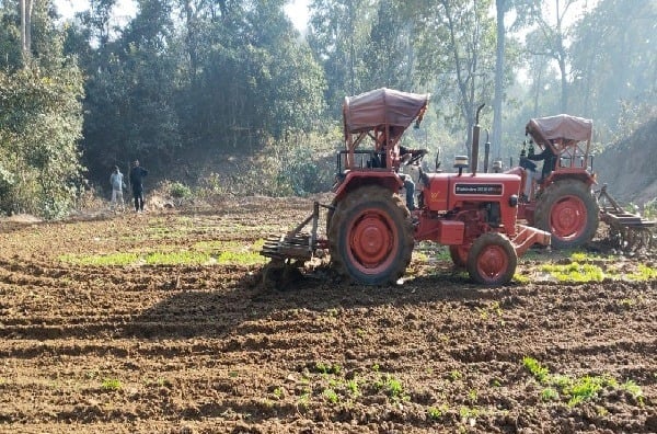 लातेहार पुलिस की बड़ी कार्रवाई, 3 एकड़ में फैली अवैध अफीम की खेती नष्ट, तस्करों की तलाश तेज