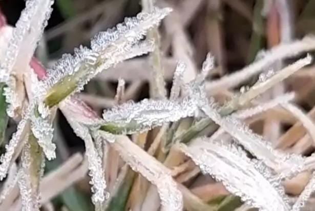 Weather Alert: माइनस 1.5 पहुंचा मैक्लूसकीगंज का पारा, घरों में कैद हुए लोग, रांची में दिख रहा कश्मीर जैसा नजारा