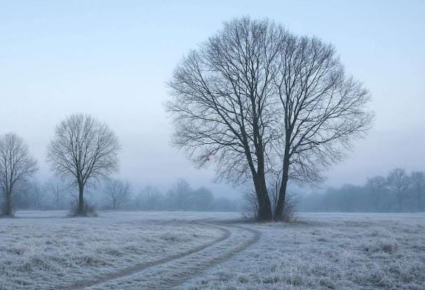 Weather Alert:शीतलहरी की चपेट में झारखंड! लोगों का घर से निकलना मुश्किल, पढ़े सक्रांति पर मौसम का हाल
