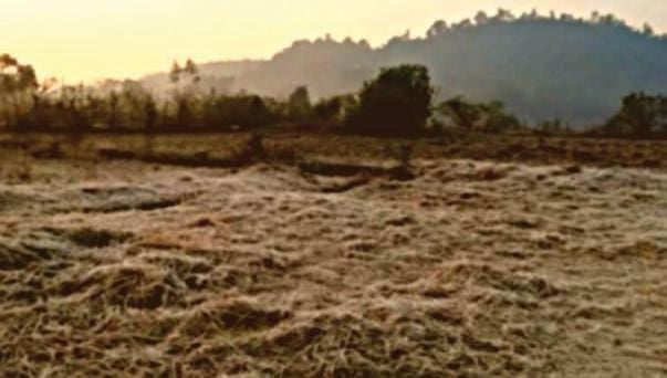 Weather Alert:ठंड से कांप रहा झारखंड! 0.8 डिग्री पहुंचा गुमला जिला का न्यूनतम पारा, घरों में दुबके लोग