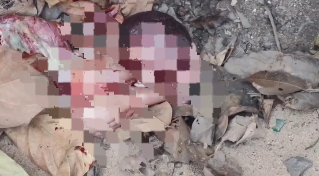 धनबाद में मानवता शर्मसार!  झरिया में नवजात शिशु का शव बरामद, जांच में जुटी पुलिस