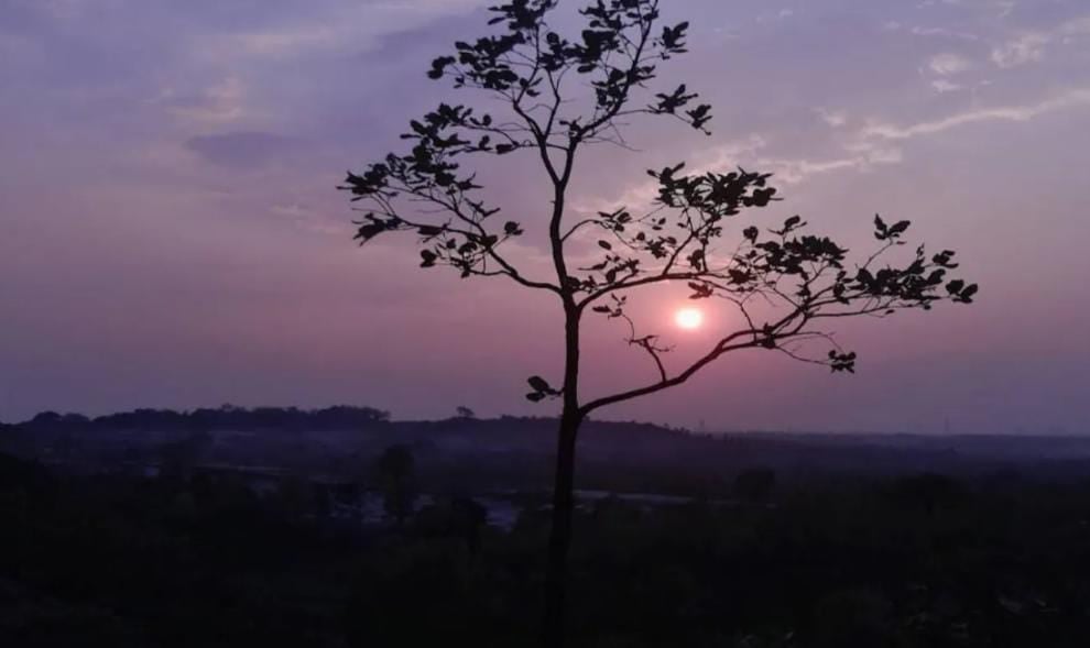 Weather Alert:29 जनवरी से फिर बदल जाएगा झारखंड का मौसम, इन जिलों में बारिश की संभावना, पढ़े आज का हाल