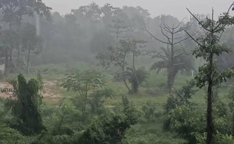 Weather Alert: Jharkhand's weather will change again after February 6, with temperatures dropping by two to three degrees and cold conditions set to increase | फरवरी के बाद एक बार फिर करवट लेगा झारखंड का मौसम, दो से तीन डिग्री गिरेगा पारा, बढ़ेगी ठंड