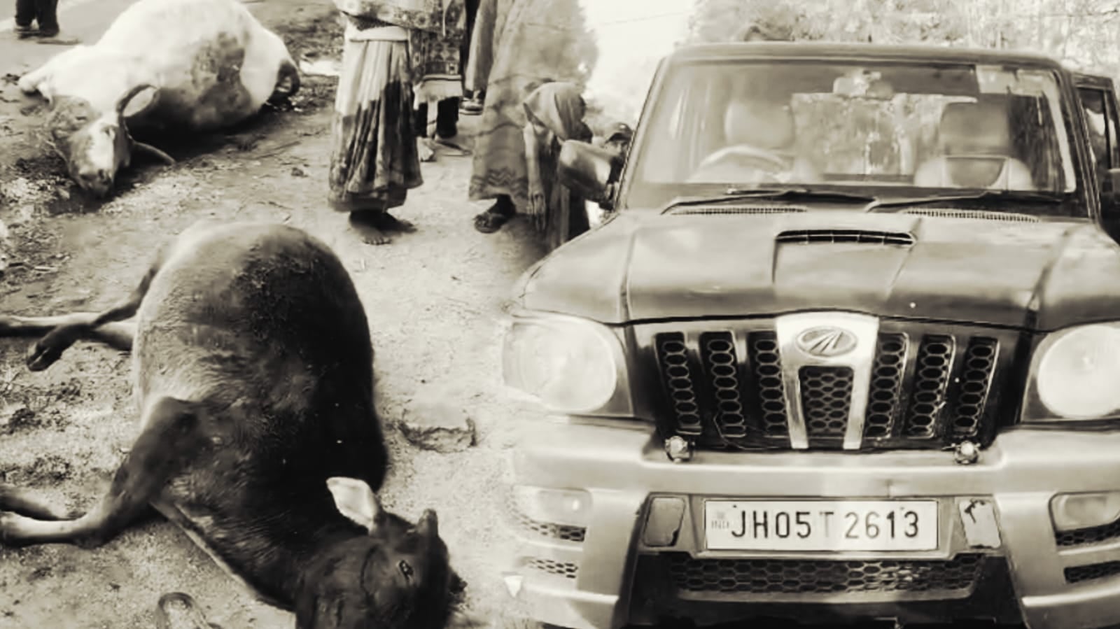 The smugglers were transporting cattle in a Scorpio; the vehicle broke down and they fled। स्कॉर्पियो में भरकर ले जा रहे थे गोवंश, गाड़ी खराब होते ही भागे तस्कर, वाहन जब्त