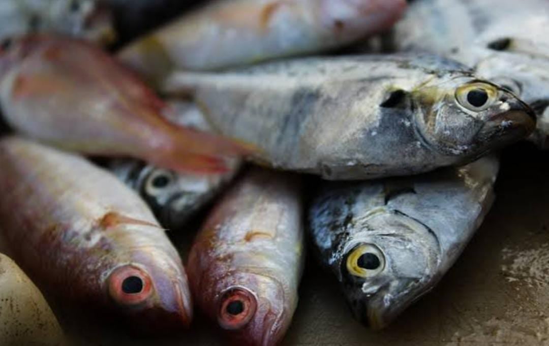 After UP, now Bihar also has banned the sale of meat and fish in the open। यूपी के बाद अब बिहार में भी खुले में मांस-मछली बिक्री पर रोक,बिना लाइसेंस पकड़े जाने पर होगी कार्रवाई