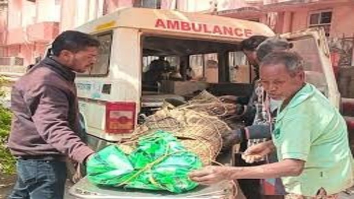 जंगल में पेड़ से लटका मिला युवक का शव, पत्नी से लड़कर तीन दिन से था लापता