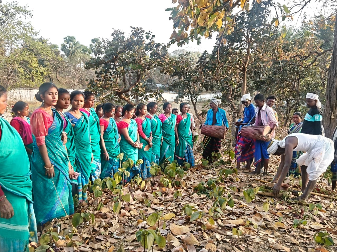 प्रकृति के प्रति आस्था का प्रतीक: बाहा पर्व में झूम उठा संताल समाज