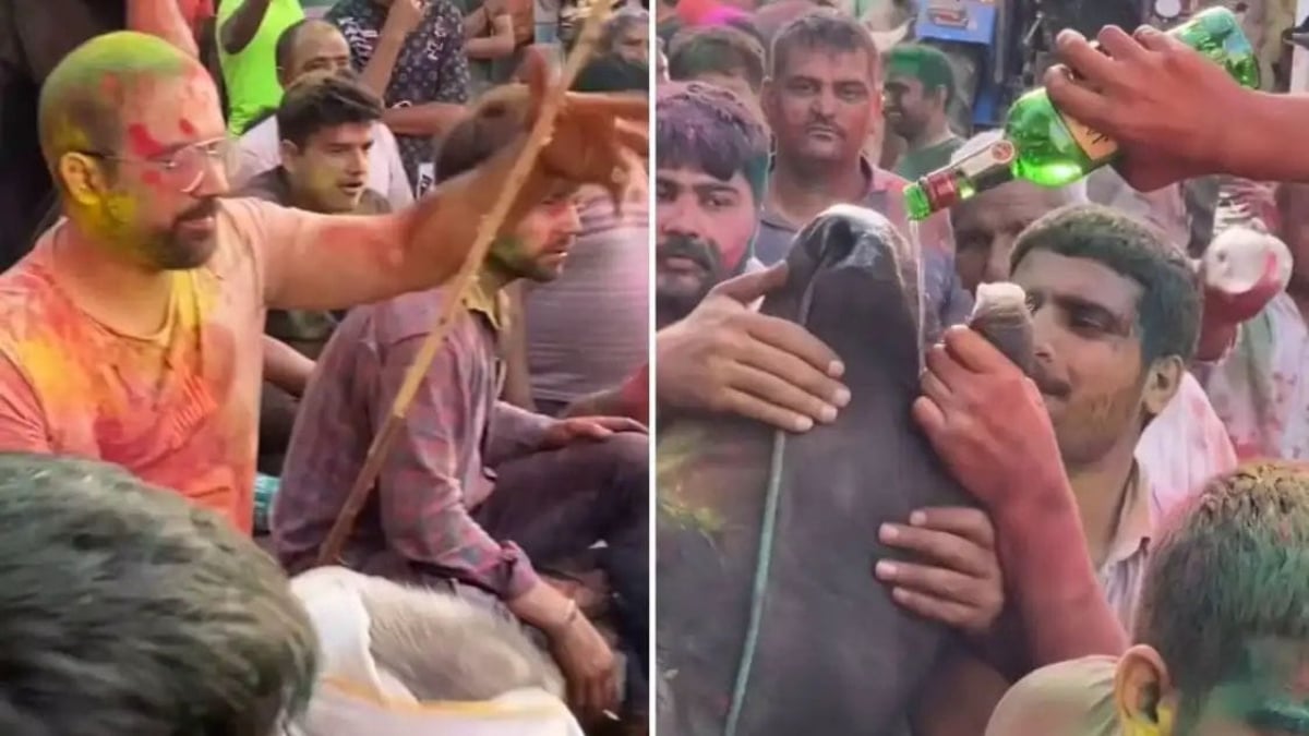 होली के जश्न में हुड़दंगियों की शर्मनाक हरकत! भैंस को जबरन पिलाई शराब, फिर किया कुछ ऐसा कि...... देखिए Video