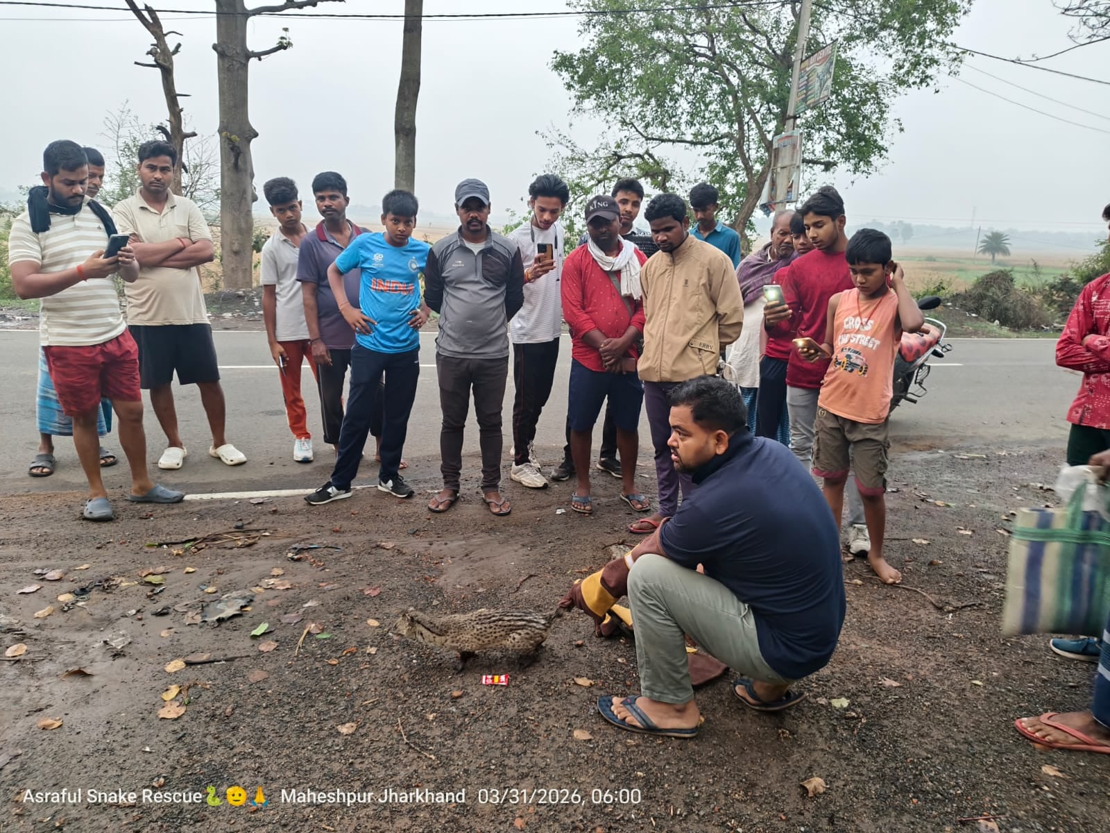 पाकुड़ की सड़क पर अचानक कस्तूरी बिल्ली देख सहमे लोग, वन विभाग ने किया सुरक्षित रेस्क्यू