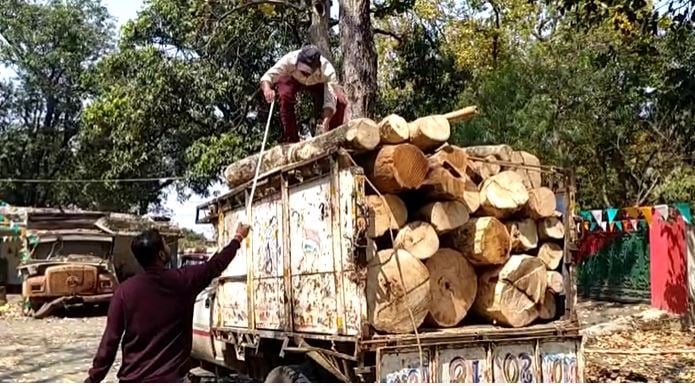 वन-विभाग ने लकड़ी माफियाओं के विरुद्ध की कार्रवाई, लकड़ियों से लदे दो वाहनों को किया जब्त