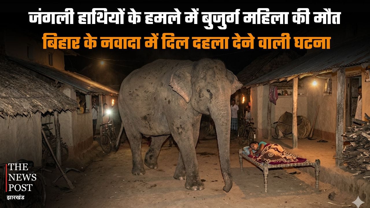 बिहार में गजराज का आतंक, हमले में बुजुर्ग महिला की गई जान