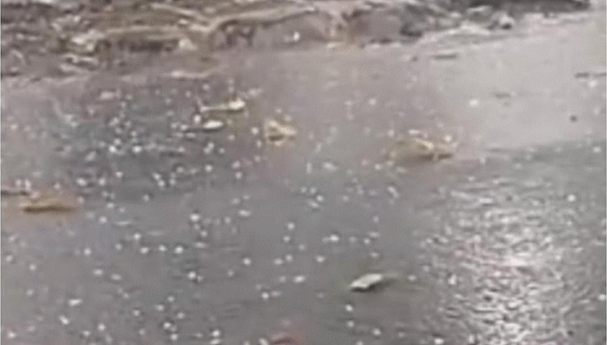 Weather Alert:झारखंड में मौसम की तबाही ने ली तीन लोगों की जान, आज इन 14 जिलों के लोग रहेंगे सावधान