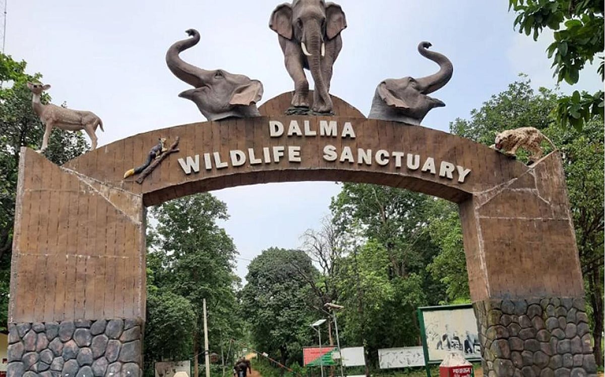 चिलचिलाती गर्मी से राहत चाहिए? तो चले आइए जमशेदपुर के दलमा की ठंडी वादियों में